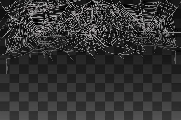 透明背景下背景向量图解的蜘蛛恐怖网络装饰 — 图库矢量图片