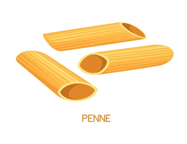 Uncooked Italian Pasta Cavatappi Penne Staples Vector Illustration Isolated White — Stock Vector