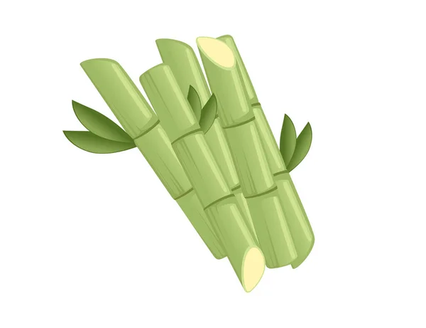 Векторная Иллюстрация Зеленого Сахарного Тростника Белом Фоне — стоковый вектор