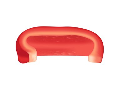 Kırmızı dolma biber dilimi beyaz arka planda izole edilmiş sağlıklı taze sebze vektörü çizimi.