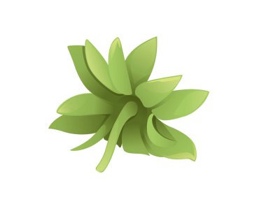 Beyaz arkaplanda yeşil çilek yaprağı çizimi izole edildi.