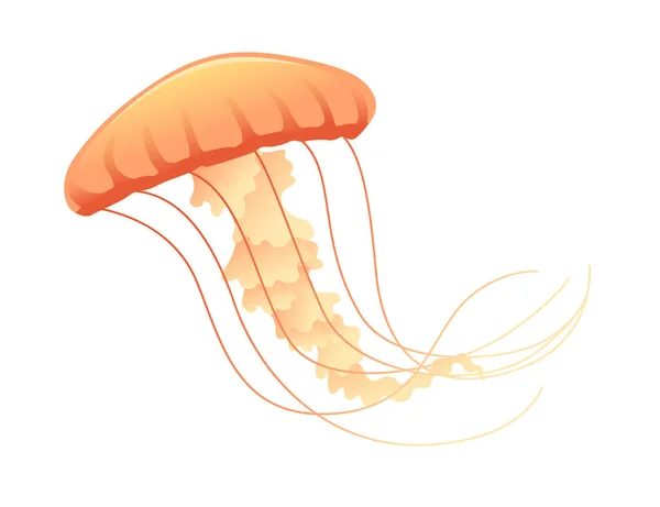 Jellyfish Medusa Underwater Animal Orange Color Vector Illustration Isolated White — Stock Vector