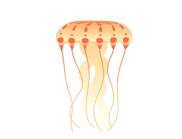 Jellyfish medusa underwater animal orange color vector illustration isolated on white background.