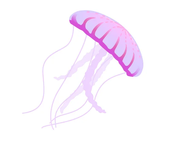 Jellyfish Medusa Underwater Animal Purple Color Vector Illustration Isolated White — Stock Vector