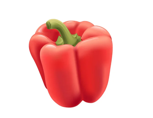 Röd Hela Bell Pepper Friska Färska Grönsaker Vektor Illustration Isolerad — Stock vektor