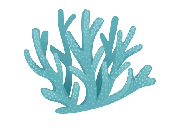 Turquesa Coral Tropical Subaquático Vida Marinha Vetor Ilustração Isolado Fundo —  Vetores de Stock