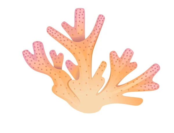 Oranje Koraal Tropisch Onderwater Leven Vector Illustratie Geïsoleerd Witte Achtergrond — Stockvector