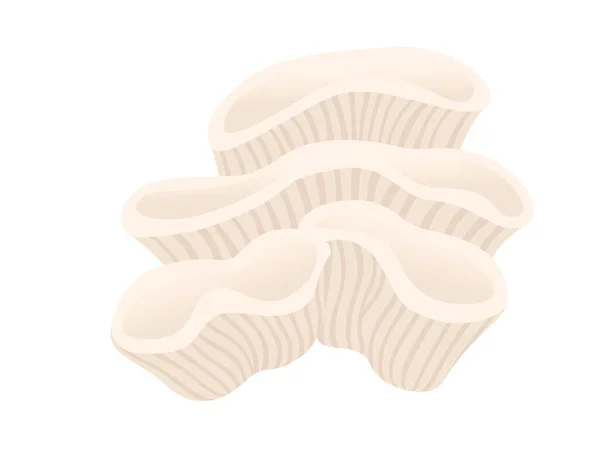 Illustration Vectorielle Vie Sous Marine Tropicale Corail Beige Isolée Sur — Image vectorielle
