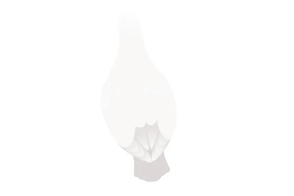 Pigeon Blanc Colombe Oiseau Symbole Paix Vecteur Illustration Dessin Animé — Image vectorielle