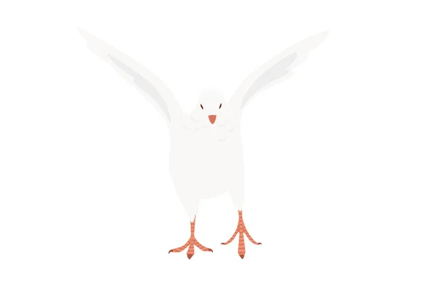 白い鳩鳩平和の象徴ベクトルイラスト漫画動物のデザイン白い背景に隔離された — ストックベクタ