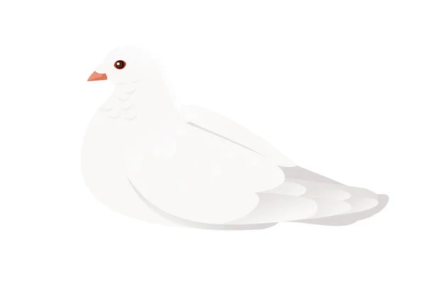 White Pigeon Dove Bird Symbol Peace Vector Illustration Cartoon Animal — Stock Vector