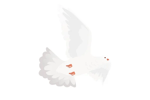 Vit Duva Duva Fågel Symbol För Fred Vektor Illustration Tecknad — Stock vektor