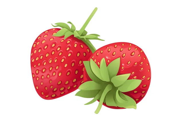Rote Natürliche Frische Erdbeere Süß Lecker Ganze Beeren Vektor Illustration — Stockvektor