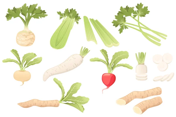 Set White Daikon Radish Root Green Stem Cartoon Vegetable Plant — Stock Vector