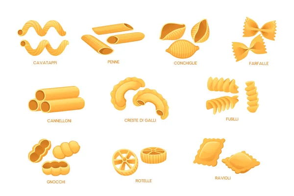 Set Uncooked Italian Pasta Cuisine Staples Vector Illustration Isolated White — Stock Vector