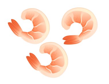 Karides deniz ürünleri malzeme vektör çizimi beyaz arkaplanda izole.