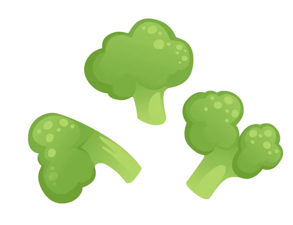 Ljus Grön Färgad Broccoli Vegetabiliska Färska Hälsosam Mat Vektor Illustration — Stock vektor
