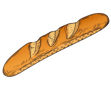 Beyaz arkaplanda izole edilmiş taze Fransız ekmeği el çizimi biçim vektör çizimi.