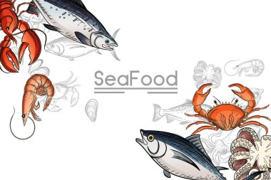 Beyaz zemin üzerinde metin ile farklı türde lezzet vektör illüstrasyonuna sahip deniz ürünleri koleksiyonu tasviri.