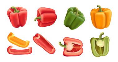 Farklı renkte biber seti. Beyaz arkaplanda izole edilmiş sağlıklı sebze vektörü çizimi..