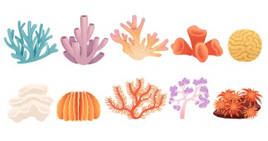 Beyaz arka planda izole edilmiş bir dizi mercan tropikal deniz altı yaşam vektörü çizimi.