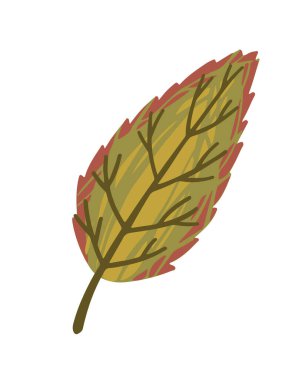 Sonbahar yeşil yaprak vektör çizimi beyaz arkaplanda izole.