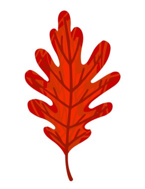 Sonbahar kırmızı yaprak çizimi beyaz arkaplanda izole edildi.