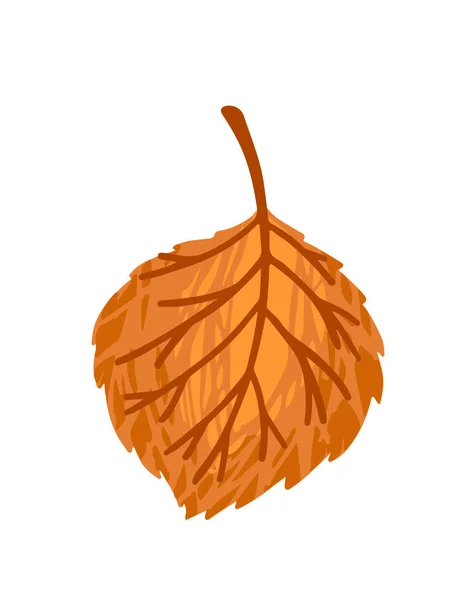 Herfst Oranje Blad Vector Illustratie Geïsoleerd Witte Achtergrond — Stockvector