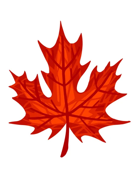 Herbst Rot Blatt Vektor Illustration Isoliert Auf Weißem Hintergrund — Stockvektor