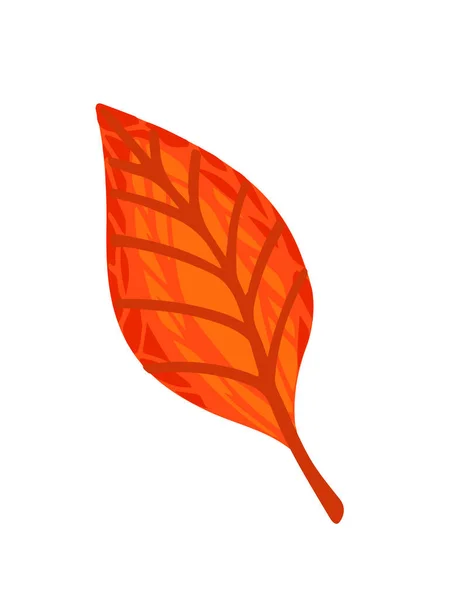 Illustration Vectorielle Feuille Orange Automne Isolée Sur Fond Blanc — Image vectorielle