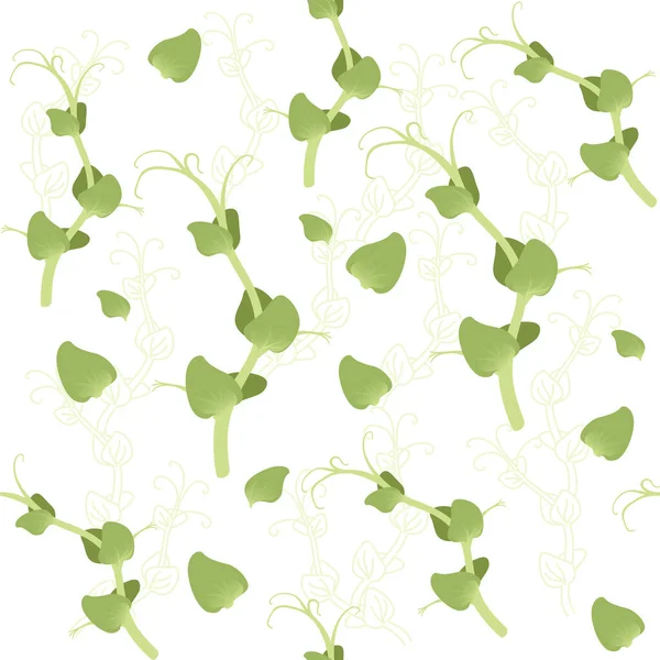 Бесшовный Рисунок Микрозеленые Суперпродукты Прорастают Горох Здорового Питания Векторной Иллюстрации — стоковый вектор