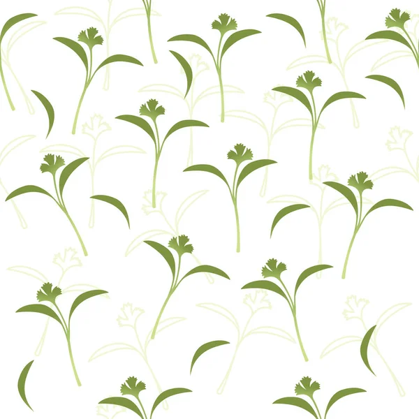 无缝图案微绿色超食芽香菜健康营养载体白底图解 — 图库矢量图片