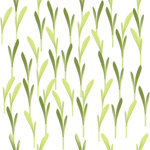 Απρόσκοπτη Μοτίβο Μικροπράσινο Φύτρα Superfood Καλαμπόκι Υγιή Διατροφή Διανυσματική Απεικόνιση — Διανυσματικό Αρχείο