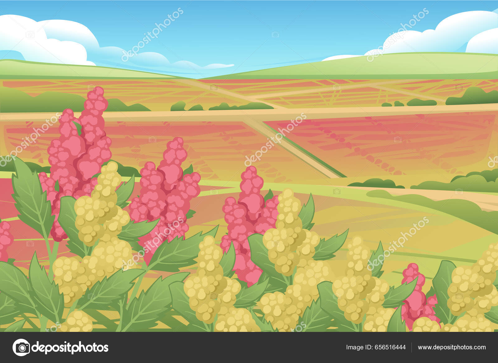 1,700+ Cotton Field Stock Illustrations, Royalty-Free Vector