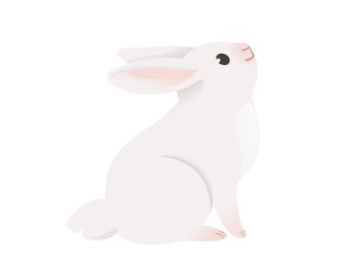 Yerde oturan sevimli beyaz tavşan beyaz arka planda izole edilmiş hayvan tasarımı vektör çizimi.