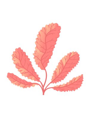 Beyaz arkaplanda izole edilmiş kırmızı su altı deniz yosunu vektör çizimi.