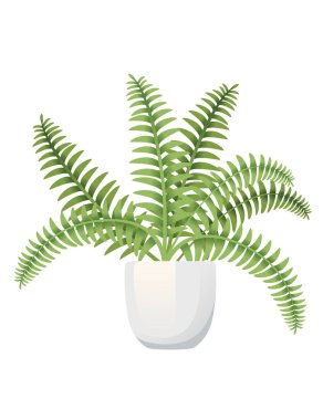 Beyaz arkaplanda izole edilmiş beyaz seramik kap vektör illüstrasyonunda eğreltiotu ev bitkisi.