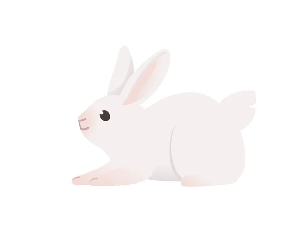 Симпатичный Белый Кролик Сидит Земле Мультяшный Дизайн Животных Векторные Иллюстрации — стоковый вектор