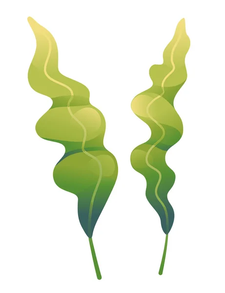 Illustration Vectorielle Algues Sous Marines Couleur Verte Isolée Sur Fond — Image vectorielle