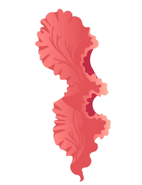 Illustration Vectorielle Algues Sous Marines Couleur Rouge Isolée Sur Fond — Image vectorielle