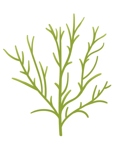 Illustration Vectorielle Algues Sous Marines Couleur Verte Isolée Sur Fond — Image vectorielle