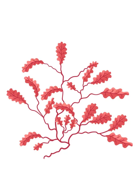 白い背景に隔離された赤い色の水中海藻ベクトル図 — ストックベクタ