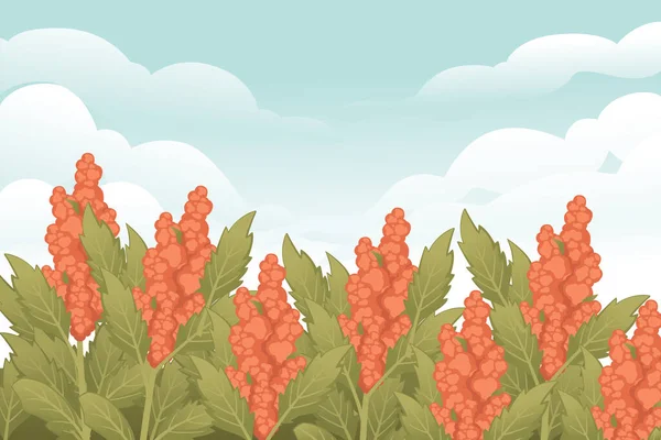 Ländliche Landschaft Mit Quinoa Blühenden Pflanzen Feld Getreidepflanzen Vektorillustration — Stockvektor