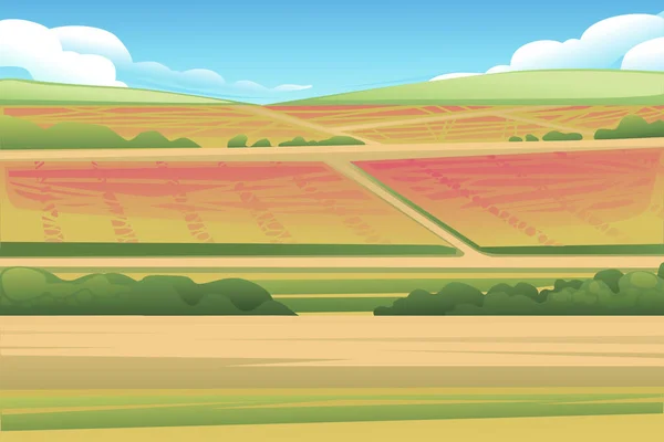 Kinoa Çiçekli Kırsal Alan Bitki Tarlası Tahıl Ekinleri Çizimi — Stok Vektör