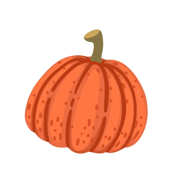 Pomerančová Dýně Sezónní Zeleninový Vektor Ilustrace Izolované Bílém Pozadí — Stockový vektor