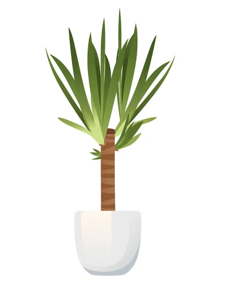 Yucca Houseplant Bílé Keramické Pot Vektor Ilustrace Izolované Bílém Pozadí — Stockový vektor