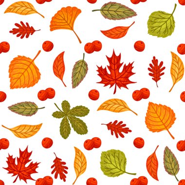 Renkli sonbaharın kusursuz deseni beyaz arkaplanda vektör çizimi yapar.