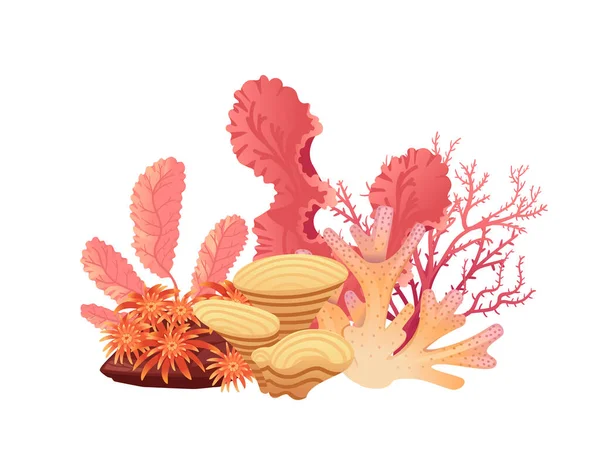 Illustration Vectorielle Des Plantes Algues Marines Aquatiques Isolées Sur Fond — Image vectorielle