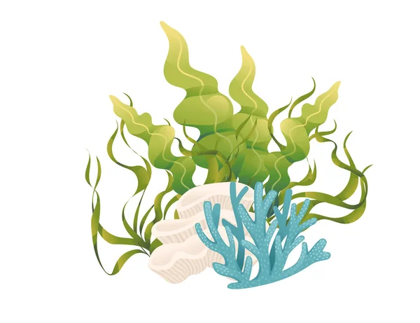 Planten Aquatische Zeewier Vector Illustratie Geïsoleerd Witte Achtergrond — Stockvector