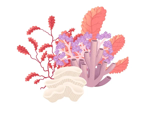 在白色背景上分离的植物和水生海藻病媒图解 — 图库矢量图片